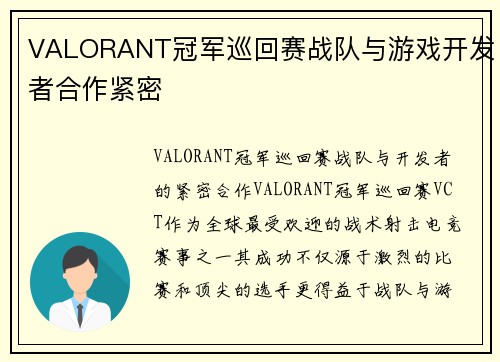 VALORANT冠军巡回赛战队与游戏开发者合作紧密
