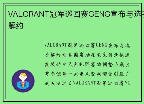 VALORANT冠军巡回赛GENG宣布与选手解约