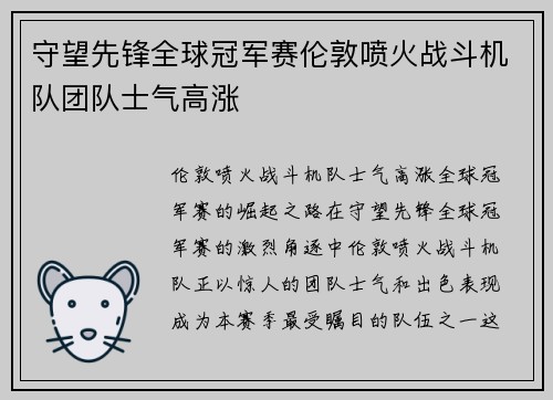 守望先锋全球冠军赛伦敦喷火战斗机队团队士气高涨